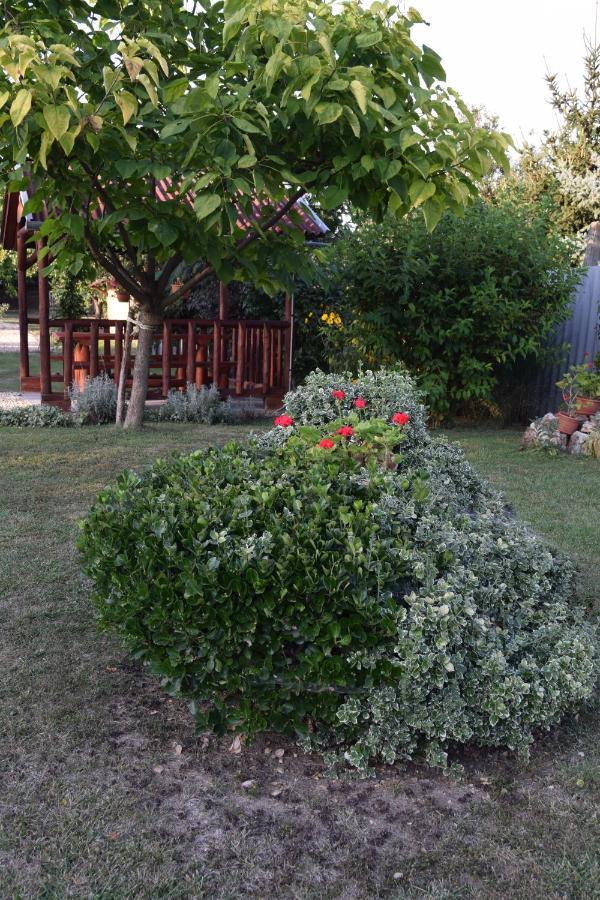 Prokop Vendeghaz Hotel Tolcsva Luaran gambar